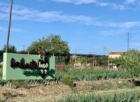 IMG_4883